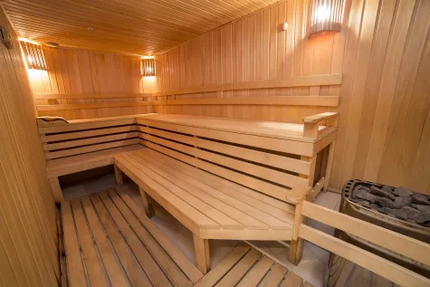 Sauna Technika Kft., Szauna